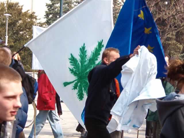 12_04_manifa-16_jpg