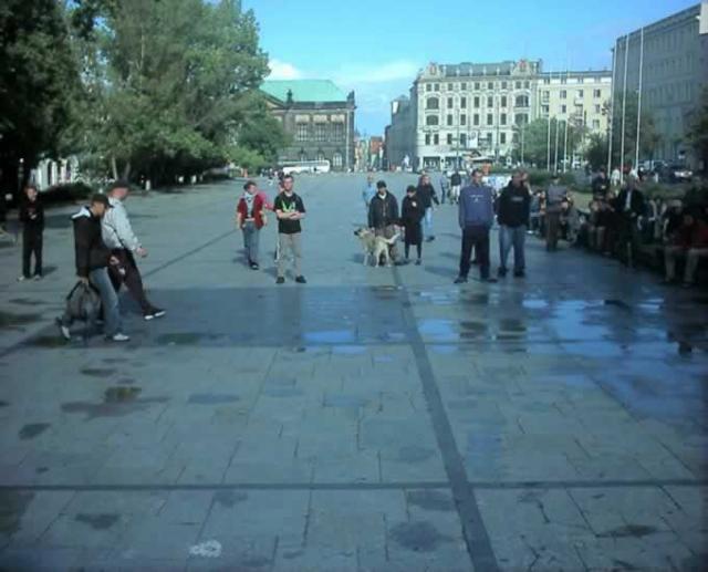 SVI_0005_jpg